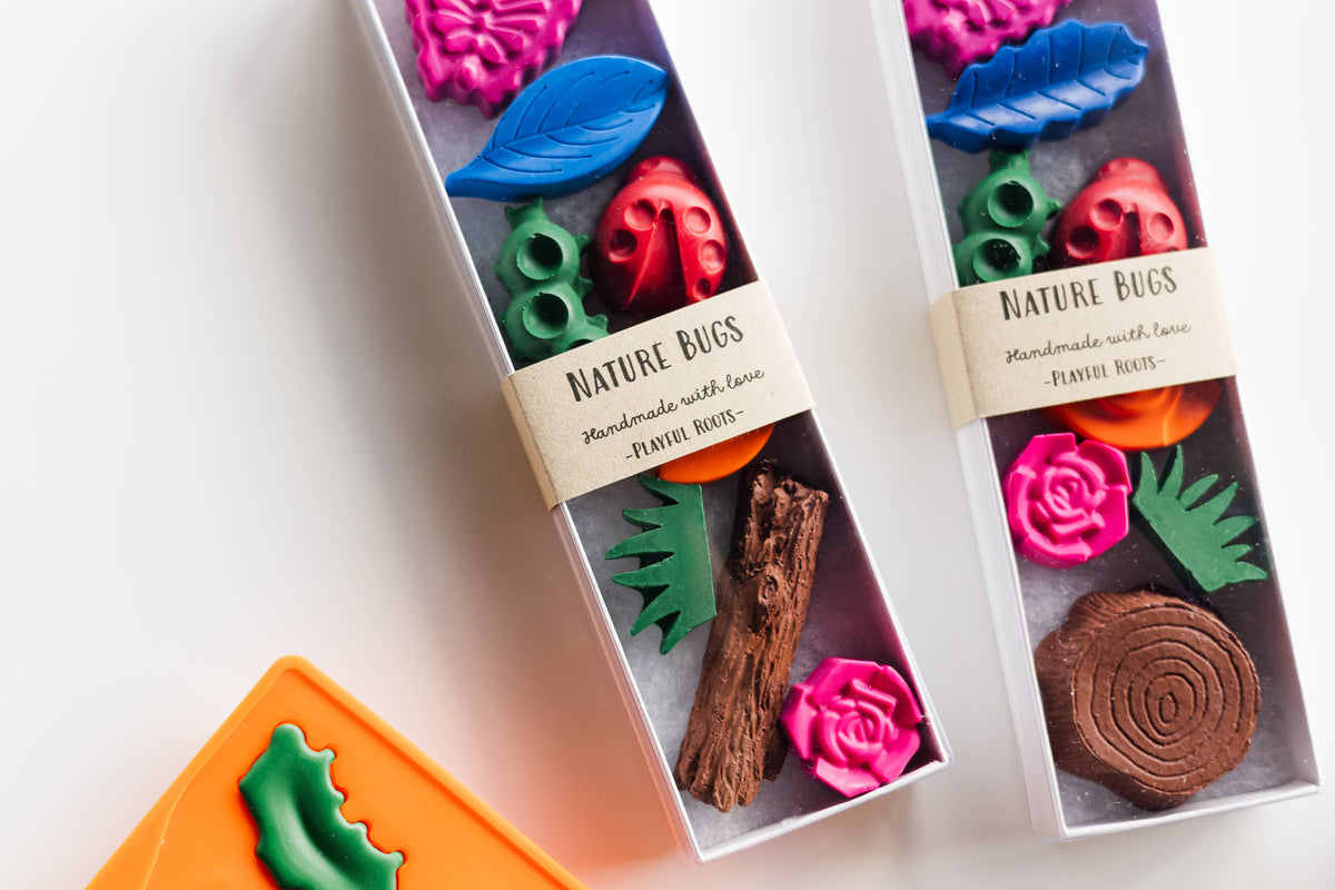 Nature Bug Crayon Gift Set