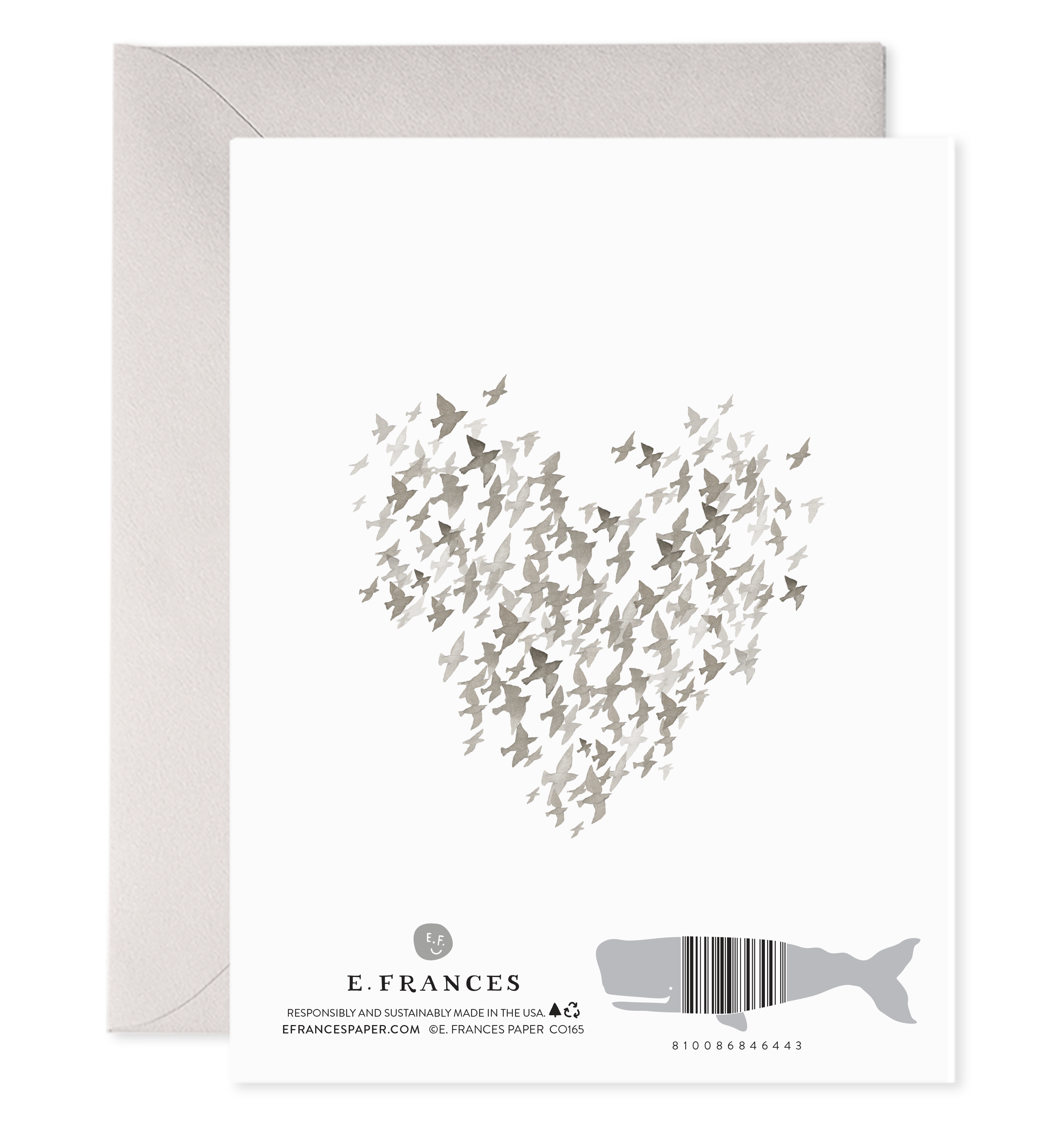 So Sorry Starlings — Condolence Card