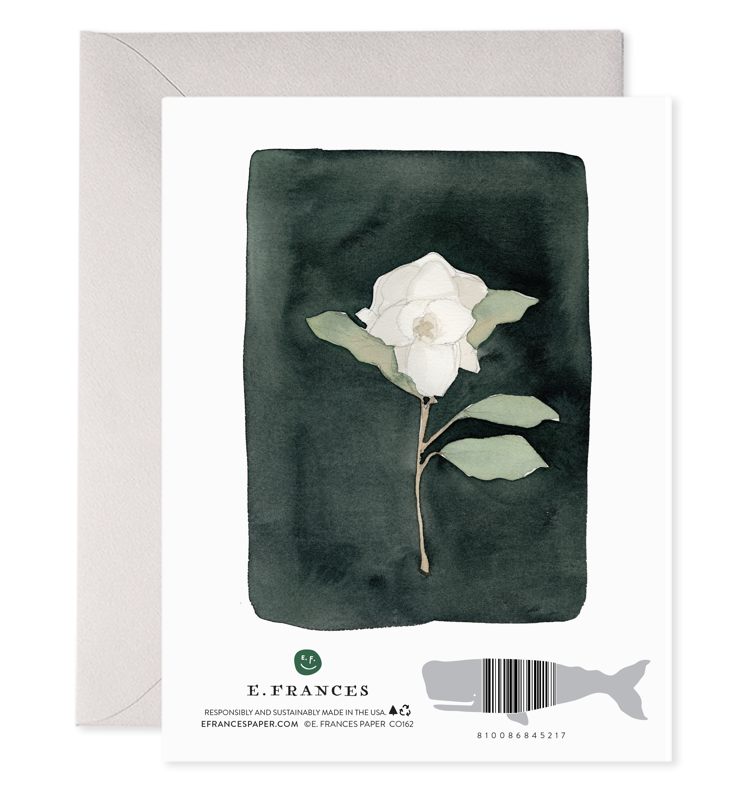 White Flower — Sympathy & Condolence Card