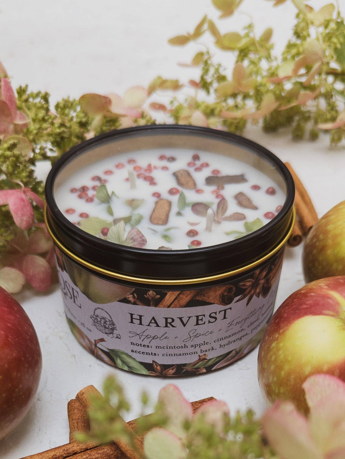 HARVEST Apple Spice 16 oz candle tin, wax topped with cinnamon bark pieces and dried hydrangea petals, surrounded by apples and cinnamon sticks