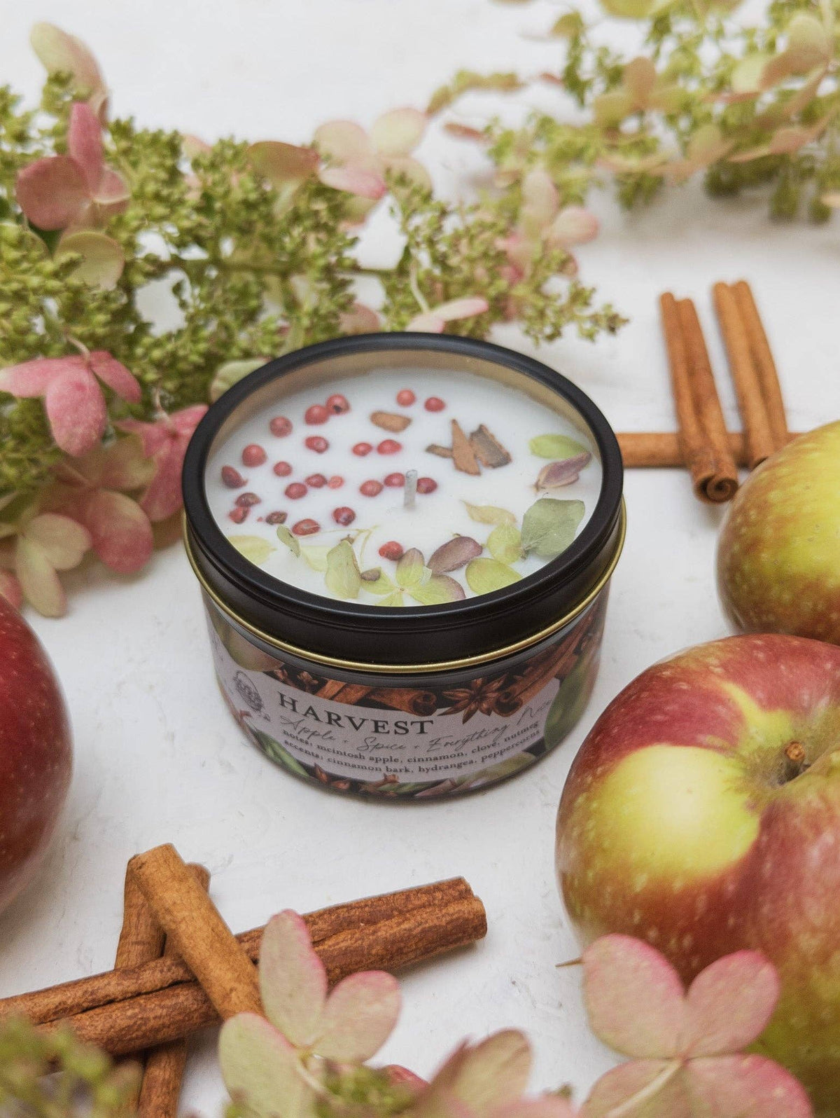 HARVEST Apple Spice candle tin label, notes mcintosh apple cinnamon clove nutmeg, accents cinnamon bark hydrangea peppercorns, surrounded by apples and cinnamon sticks