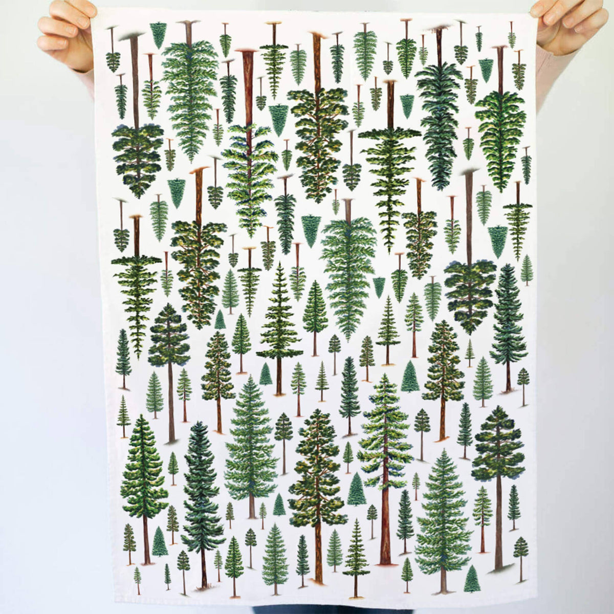 Evergreen Trees Tea Towel held up fully by two hands showing rows of hand painted pine, fir, and spruce trees in varying heights and shades of green