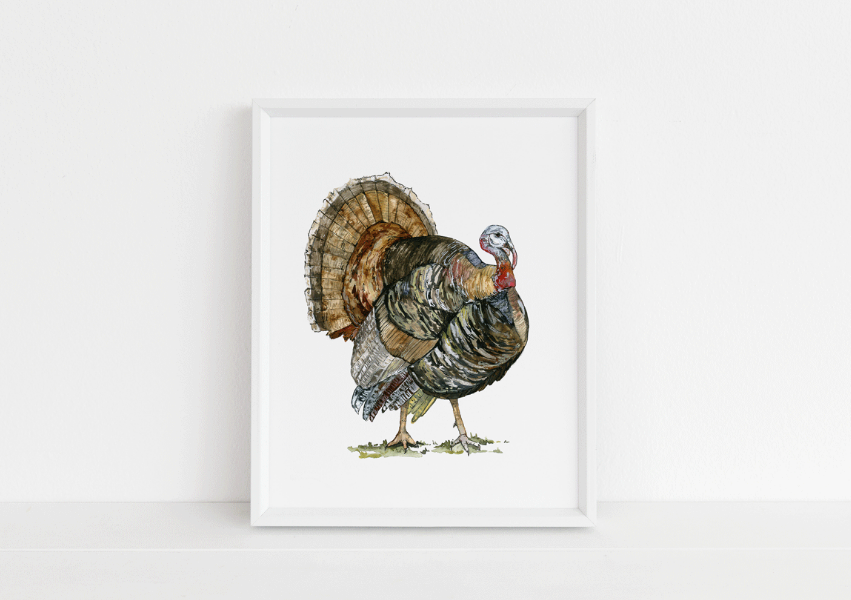 Turkey Watercolor Art Print