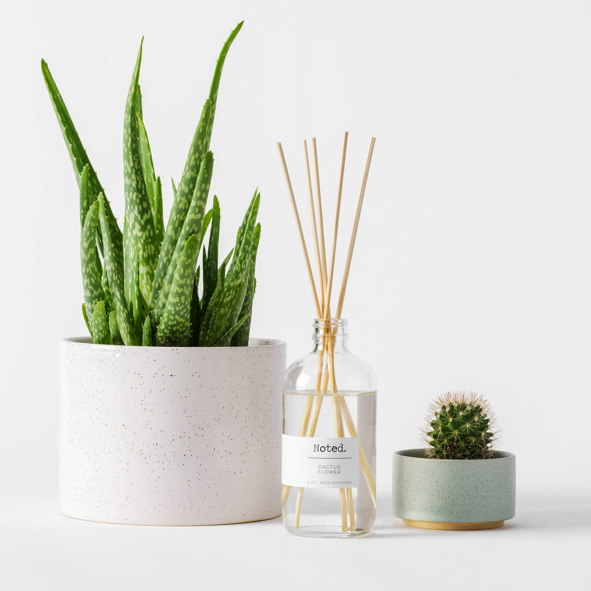 Cactus Flower Reed Diffuser