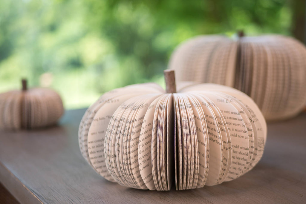 Repurposed Book Pumpkin - Natural