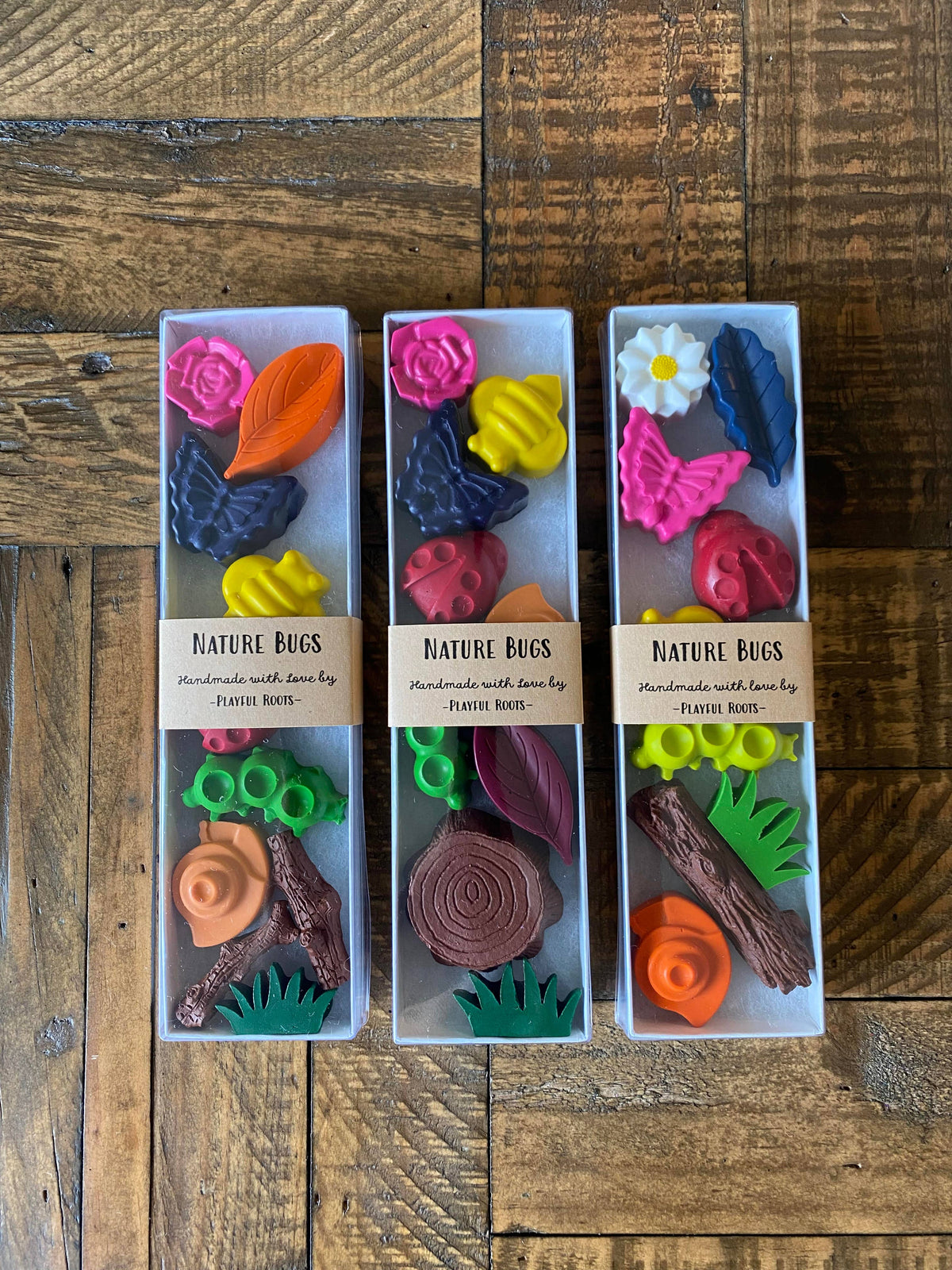 Nature Bug Crayon Gift Set