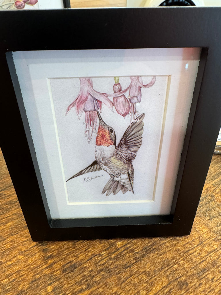 Hummingbird Art Print