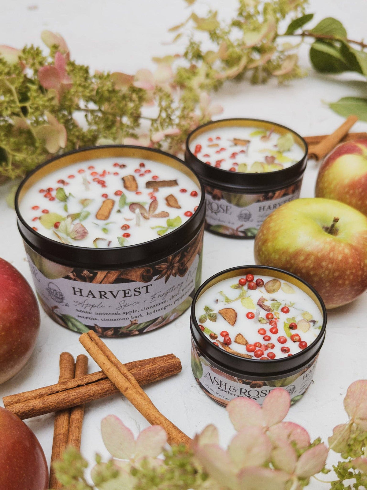 Three HARVEST Apple Spice candle tins grouped together, labels reading HARVEST and Ash & Rose, surrounded by apples and cinnamon sticks