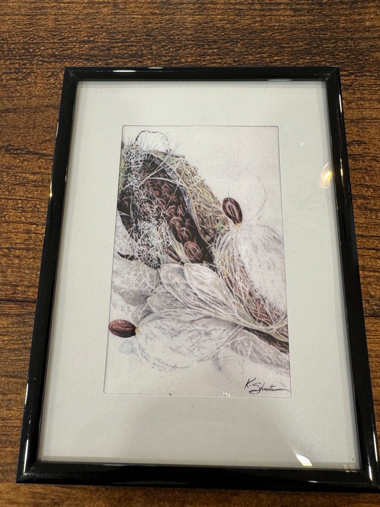Milkweed Art Print