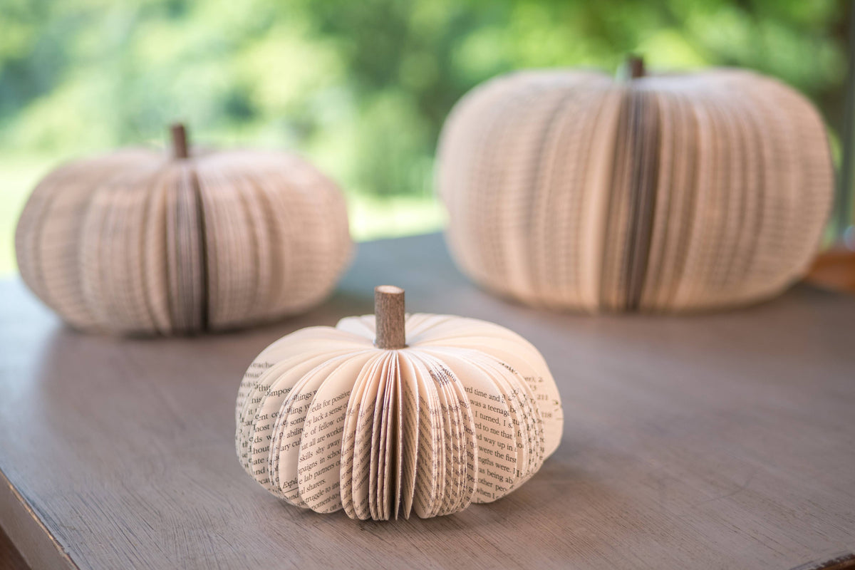 Repurposed Book Pumpkin - Natural
