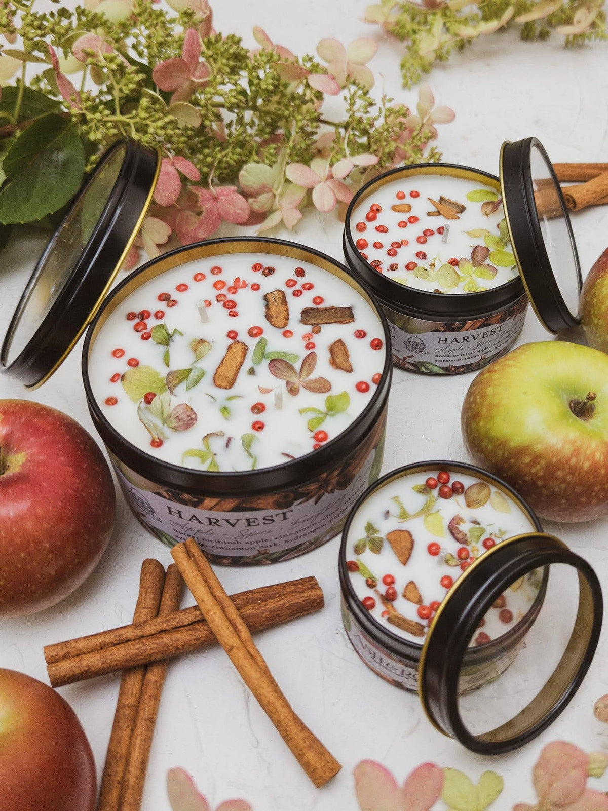 Three open HARVEST Apple Spice candle tins with lids removed, wax topped with cinnamon bark and dried hydrangea, surrounded by apples and cinnamon sticks