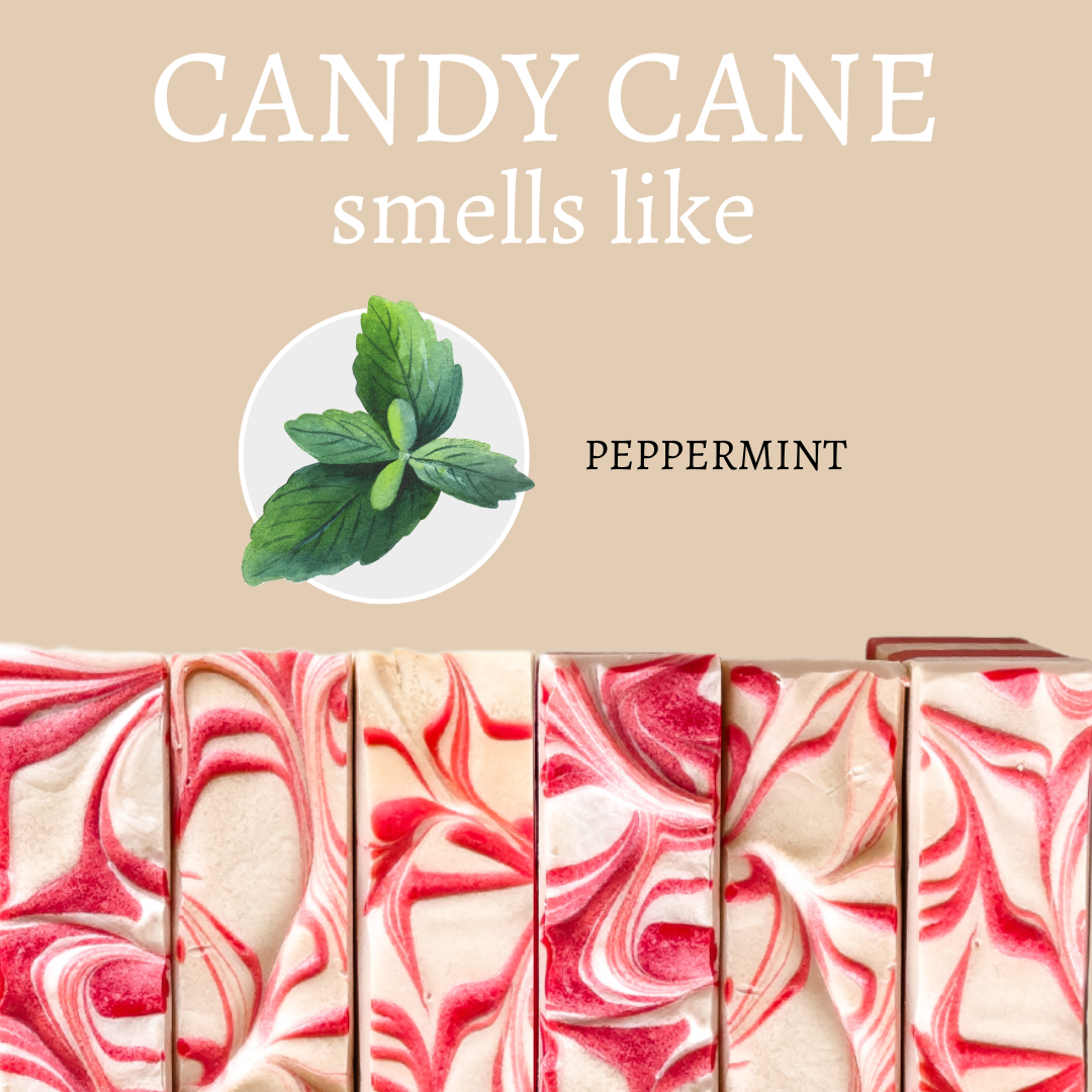Candy Cane Peppermint Christmas Soap Bar
