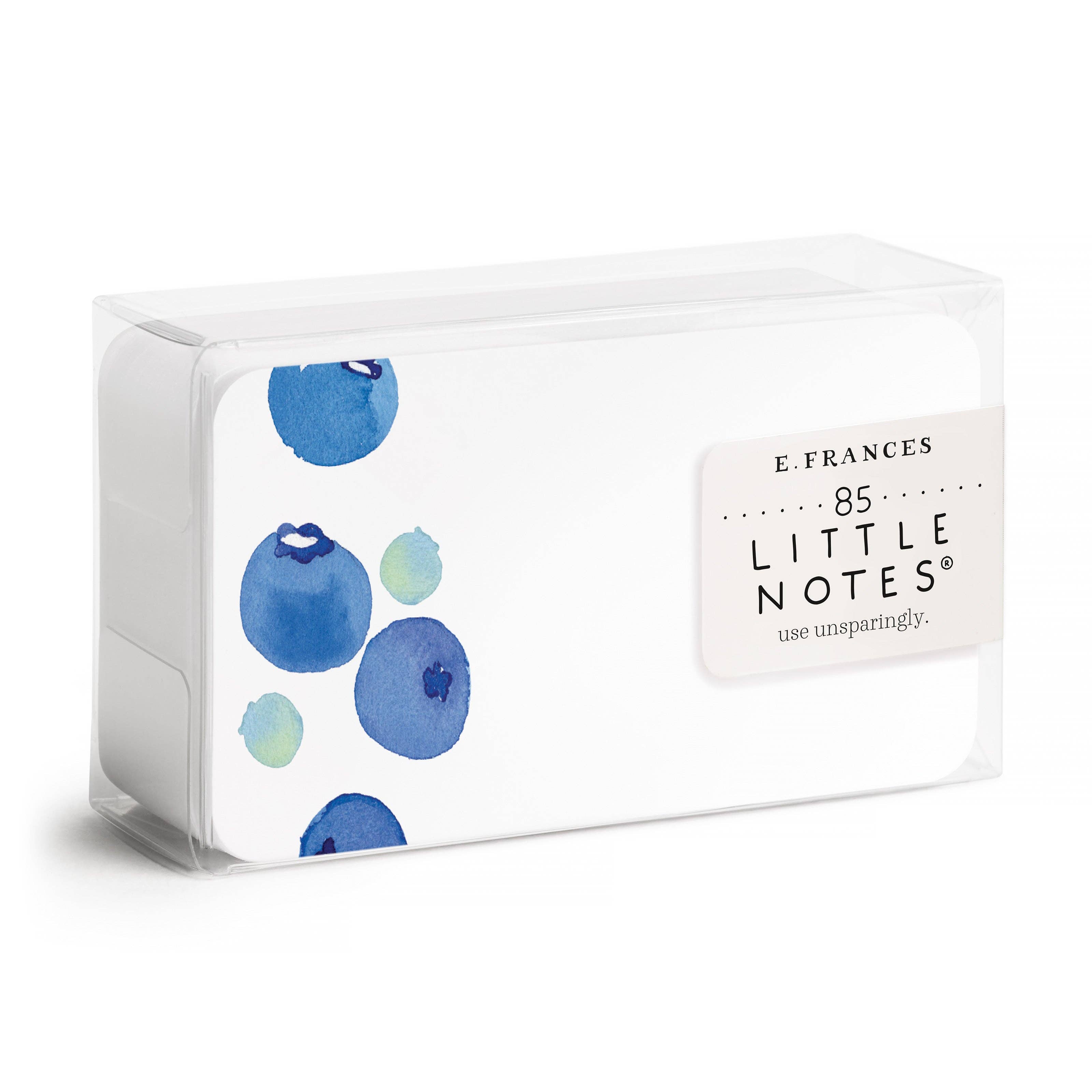 Blueberry Little Notes® — Mini Notecard Set