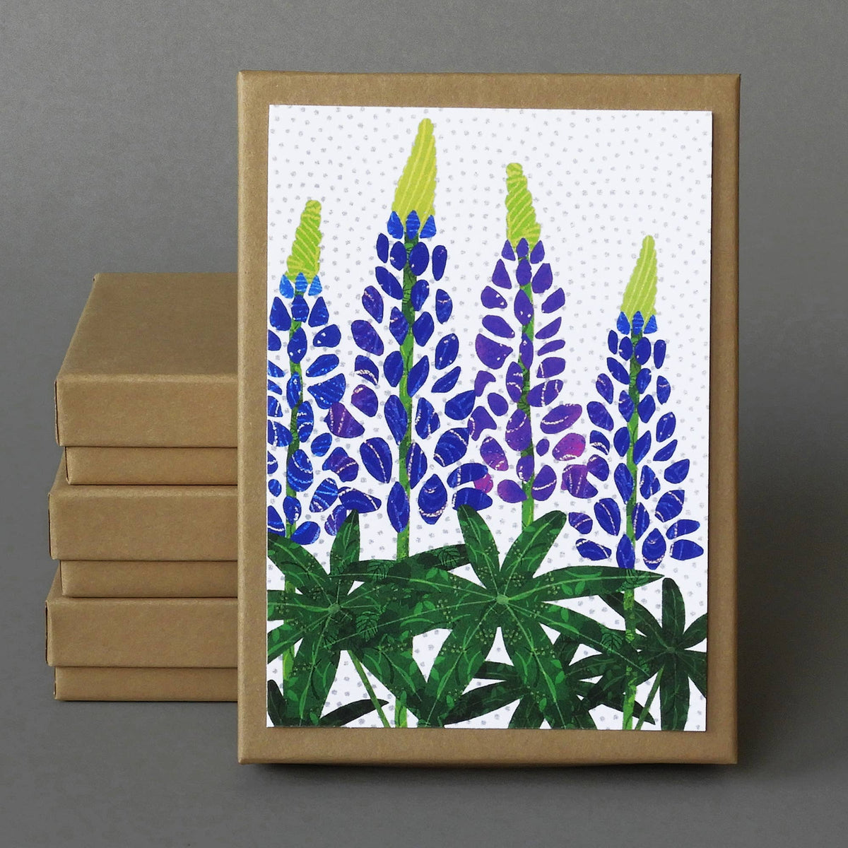 Lupines Box of 10 blank cards, a kraft box with purple and blue lupine flowers on the lid