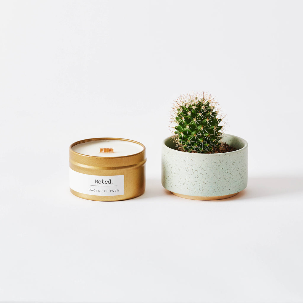 Cactus Flower - Cotton Wick Gold Tin Candle