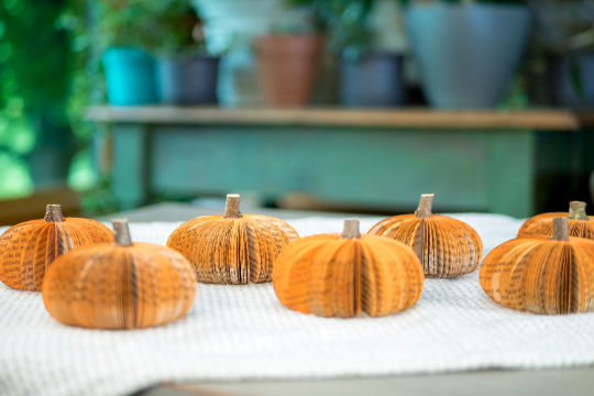 Repurposed Book Pumpkin - Fall Decor