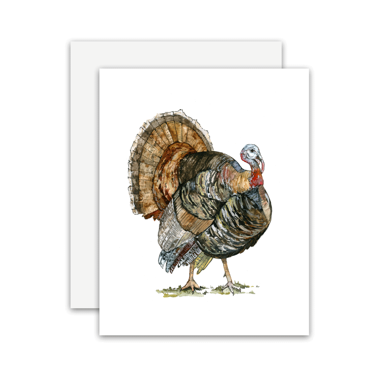 Turkey Watercolor Greeting Card